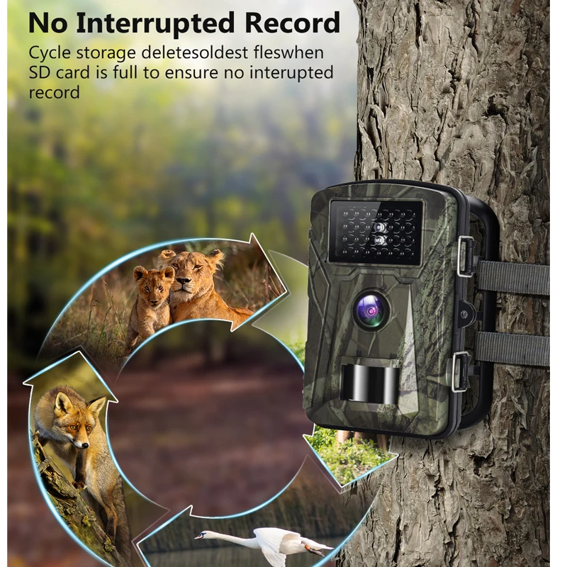 Outdoor Hunting Trail Camera 36MP 2.7K Wild Animal Detector HD Waterproof Monitoring Infrared Cam Night Vision Photo Trap