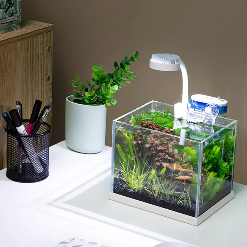 

Ecological Fish Tanks Aquariums Creative Transparent Office Miniature Landscape Fish Aquariums Acrylic Peceras Y Acuarios Tank