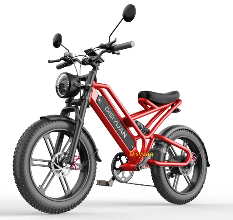 20 Inch Cargo Mtb Electric Bike 48V Fat Tire Electric Bicycle V20 Bike Mountain 1000w 500w Super S9