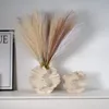 CAPIRON Ceramic Coral Vase Nordic Art Beige Matte Container for Flower Pampas Grass Living Room Tabletop Centerpieces Decoration 3