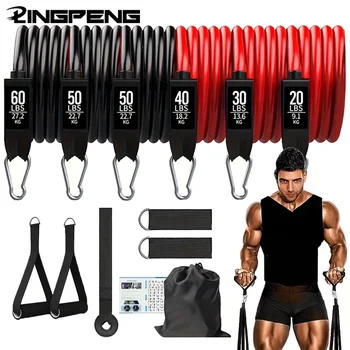 250lbs Resistance Bands Set 1