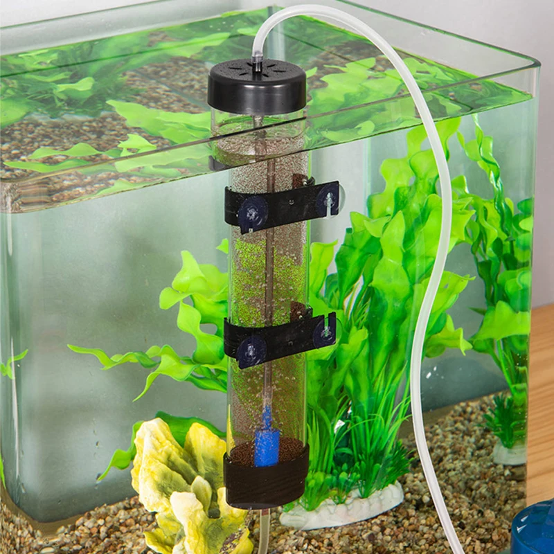 50 Off 赤ちゃんの魚のための水槽の分離ボックス 水槽のための吸盤付きの容器 廃棄物のインキュベーター Shipsctc Org