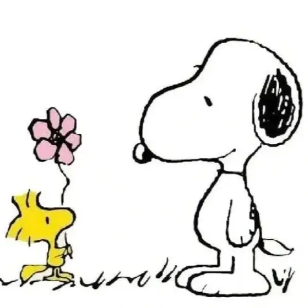 Shop1103759056 Store