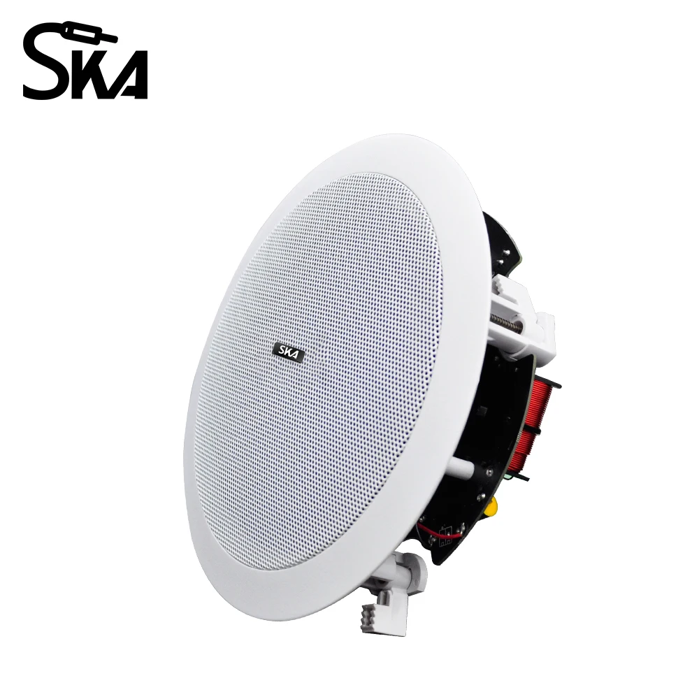 6인치 30W 2개 WiFi 블루투스 천장 스피커 시스템 내장형 클래스 D 디지털 앰프 홈 오디오 시스템 극장용 스피커