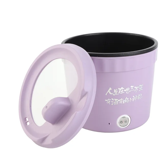 Mini cuiseur électrique 450W, marmite rapide antiadhésive, 1,2 l, appareil de cuisine pour nouilles, Ramen, œuf, pâtes, boulettes, bouillie, flocons d'avoine 1