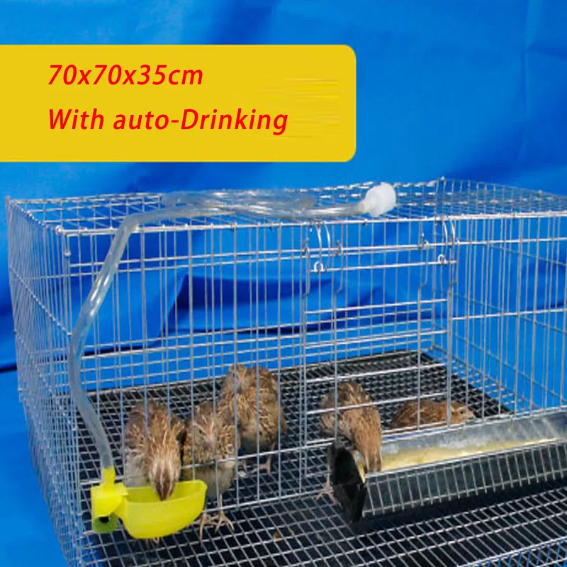 2SETS Large Specifically Family Farm quail chick birds Partridge pigeon parrot egg laying cage house breeding cage factory price