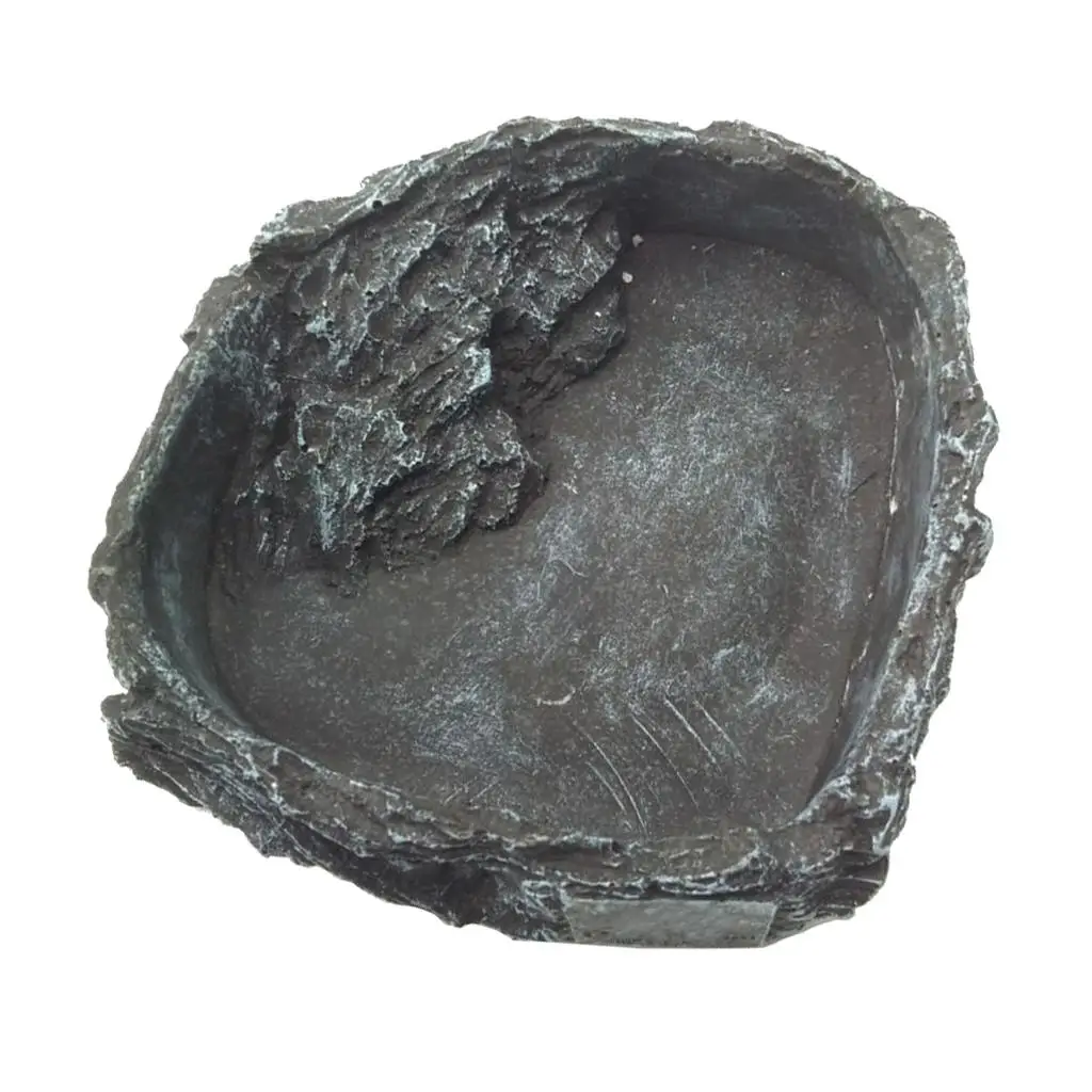 Reptile Amphibians Food Water Dish Pet Turtle Tortoise Scorpion Reptile Amphibians Food Water Dish Pet Turtle Tortoise Scorpion