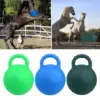 Equine Play Ball Anti Burst 25cm Horse Dogs Soccer Ball Herding with Handle 2