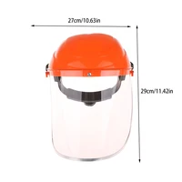 Transparent Full Face Shield
