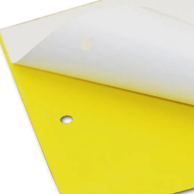 Mosche Trappole Double Sided Armyworm Plate Insetti Killer Glue Stickers Board Fruitfly Trappole Garden Plant And Vegetable Protection