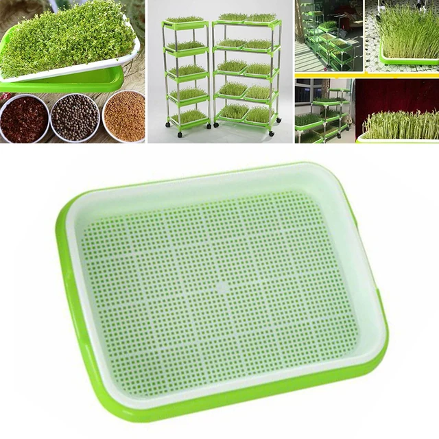 Microgreens Sprouter Tray Germination Tray Hydroponics Tray Double Layer Sprout Plate Nursery Pots Soilless Cultivation Planting 1