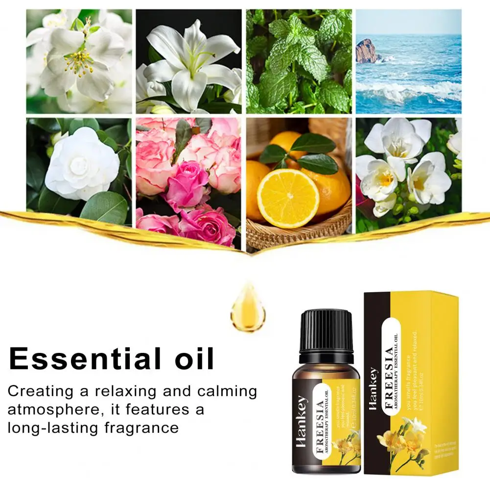 

Safe to Use Essential Oil High-concentration Water-soluble Aromatherapy Oil Set for Humidifiers for Aromatherapy for Relaxation