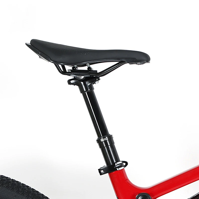 29 inch carbon fiber mountain bike 12 Speed Gears mountain bicycle Double shock absorber mtbcustom