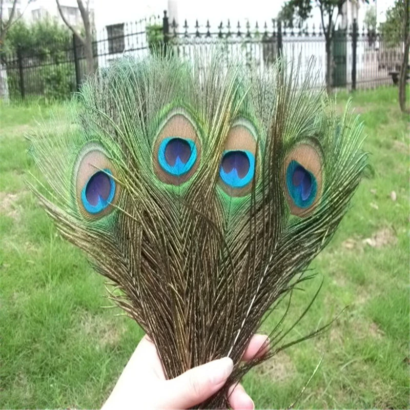 20 Pcs/Top Quality Natural Peacock Feathers For Crafts Party Decoration  25-32CM