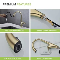 ก๊อกน้ำสำหรับห้องครัวทองเหลืองสีทองลายขนแปรงสุดหรูมีดีไซน์แบบดึงออกได้มือจับเดี่ยวแบบเย็นและร้อน2ฟังก์ชัน 5