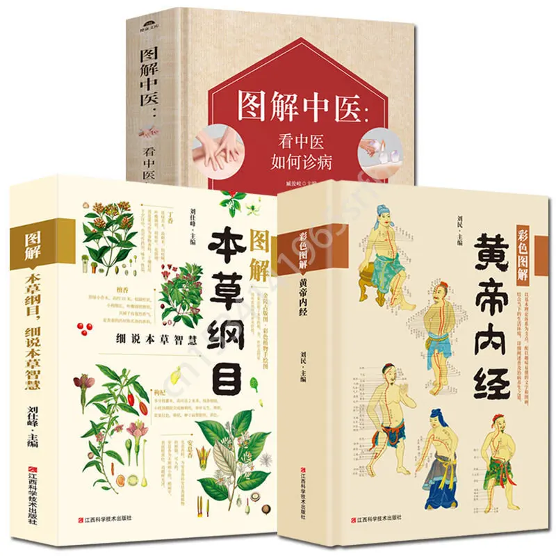 

Traditional Chinese Medical Huangdi Neijing Color Illustration Original Basic Theory Meridian Acupoint Illustration Book Libro