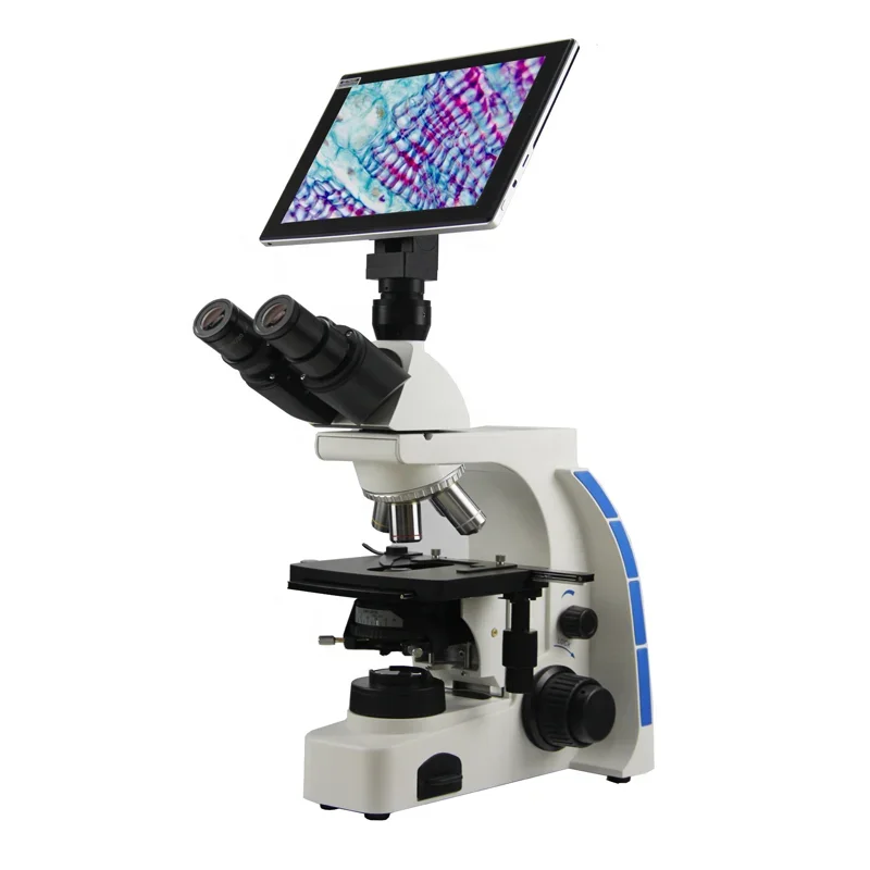 

40X-1000X Bright Field Smear Inspection LCD Biological LCD Digital Microscope with Screen