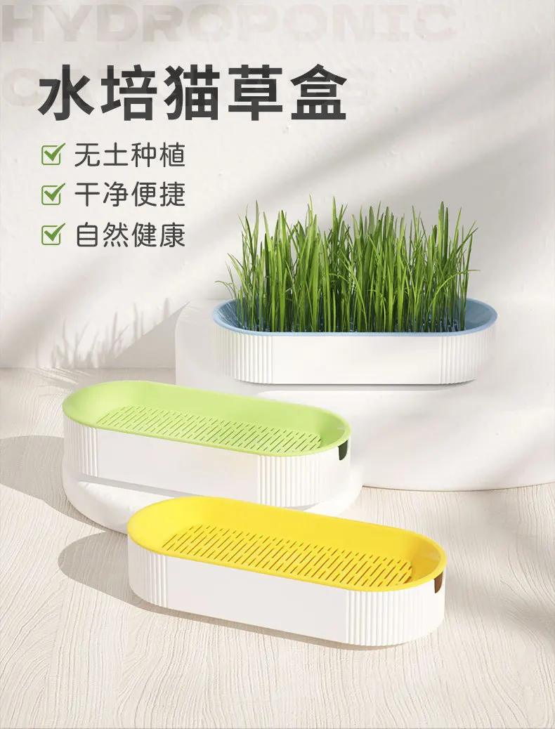 1Set Cat Snack Cat Mint Planting Hydroponic Box Cat Grass Pot Color