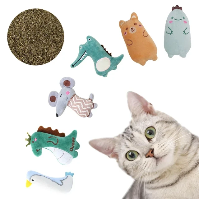 Jouet en peluche à mâcher pour chat, herbe à chat, jouets interactifs pour  chaton, mini dents, meulage du pouce, mignon, drôle - AliExpress