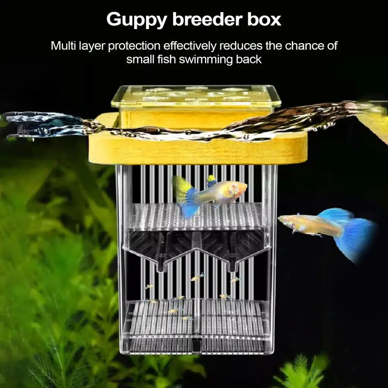 Guppy Breeder Box Floating Clear Frame Hatching Box Aquatic Life Hatchery Incubator Tank Clear Divider Resting Case