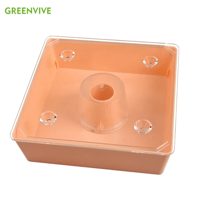 

New Model Square Bee Feeder Top Beehive Bee Feeder Around 2 Litres Capacity Plastic Beekeeping Feeder with Transparent Cover