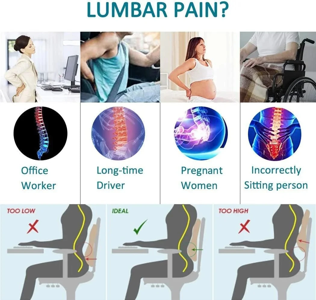 Ergonomic Memory Foam Lumbar Support Cushion for Office Chairs and Car Seats