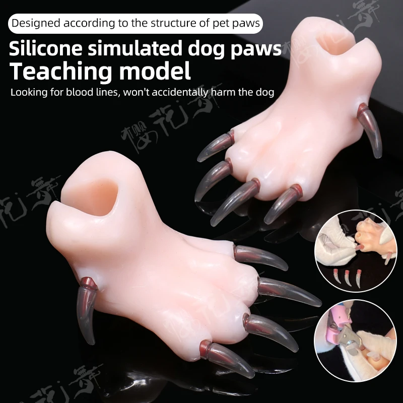 Silicone Simulation Dog Paw Teaching Model Pet Beauty School Practice Cutting Dog Nails