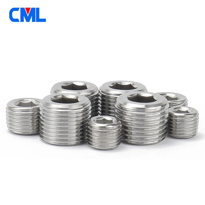 M8 M10 M12 M14 M16 M18 M20 M22 M24 Metric Fine External Thread 304 SS Inner Hexagon Socket Allen Head Bolt End Cap Plug Stop