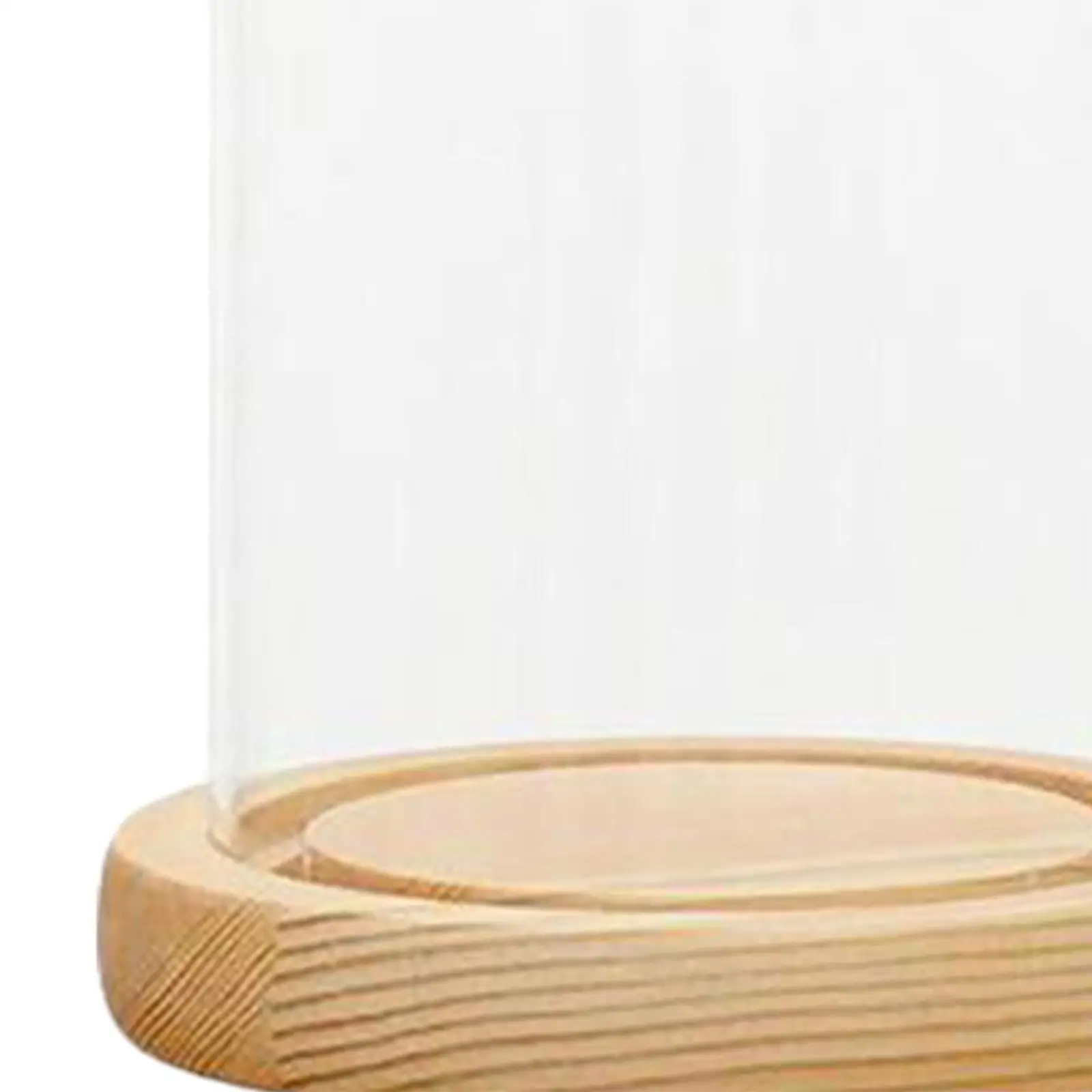 Dome Cloche Bell Jar Wooden Base Home Decor Accent Piece Durable Round Transparent Cover Multipurpose for DIY Flower Craft