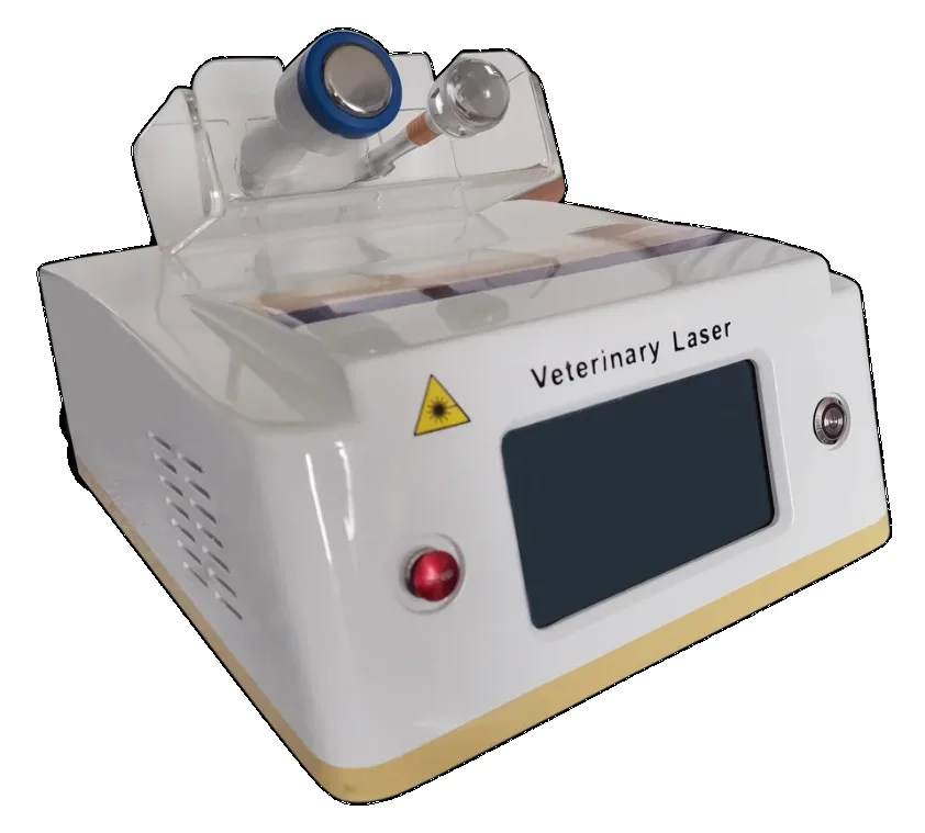 

Slimming Machine 980Nm Laser Telangiectasis Nail Fungus Liplysis Dog Therapy Machine Skin Rejuvenation Beauty Care Equipment 30W