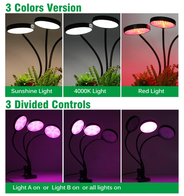 Lampe Plantes Interieur LED Horticole USB Spectre Complet Lampe de  Croissance pour Semis Succulentes Orchidee Auto on-Off 4H - A375 -  Cdiscount Jardin