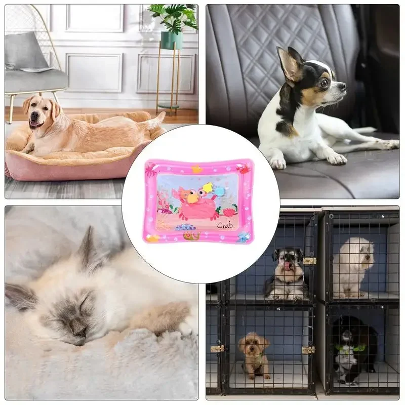 Pet Water Sensory Mat 5