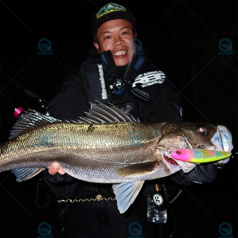 Megabass-señuelo de pesca de lubina, lápiz de hundimiento, distancia  limitada, aparejos de agua salada, YURALLY X85 X-70, 85mm, 14g/10g, Japón -  AliExpress