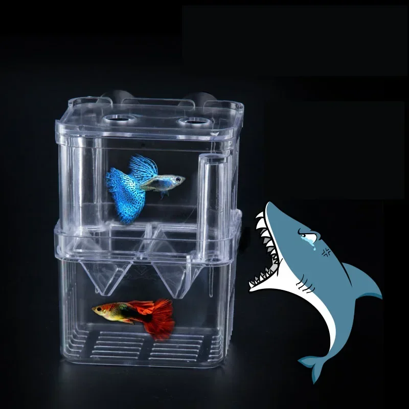 Neues Aquarium Zubehör Acryl Fischzucht Isolation Box Aquarium Aquarium Züchter Doppel Guppies Brut kasten – Detail 28