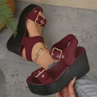 Thick Bottom Women's Wedge Heel Sandals Summer 2025 Buckle Strap Chunky Platform Sandals Woman Fashion Plus Size Beach Sandalias - Image 5