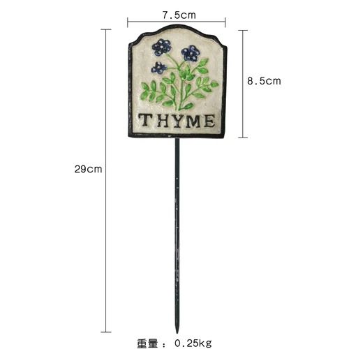 Thyme