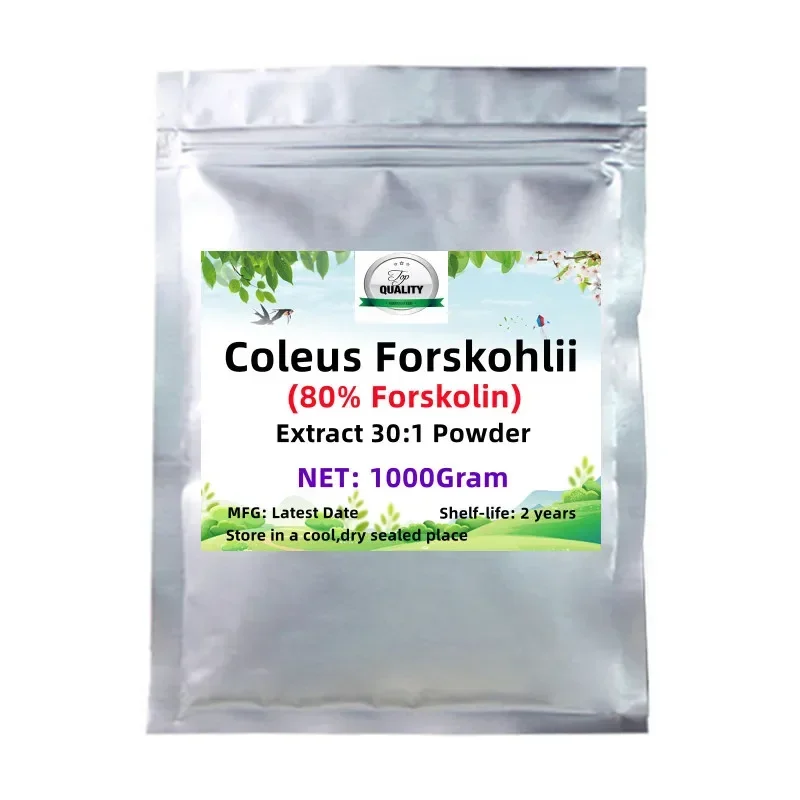 50-1000G Vendita Calda 80% Forskolin Coleus Forskohlii, Spedizione Gratuita