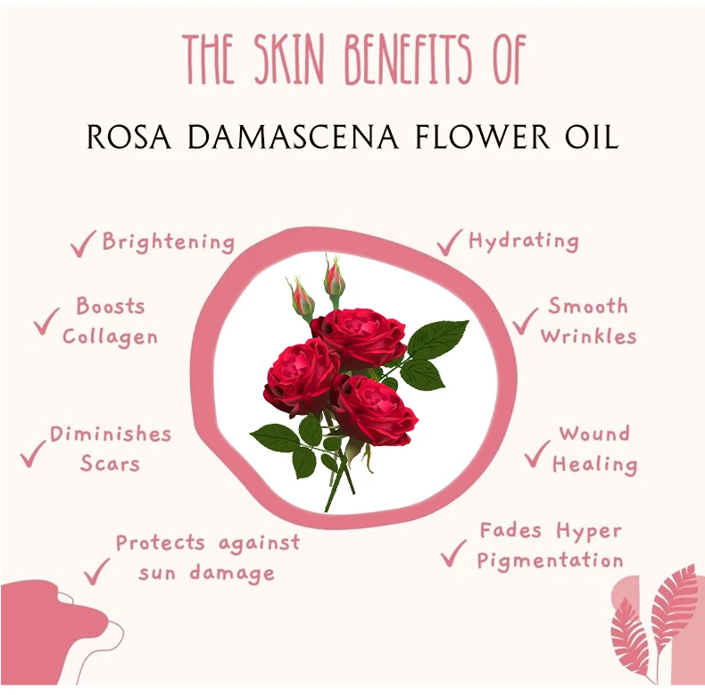 Description Picture 6 of itemPrivate Label Lip Oil Plumper Moisturizing Repairing Reduce Lip Fine Line Cosmetics Hydrating Lipgloss Wholesale Bulk 20pcs 30ml