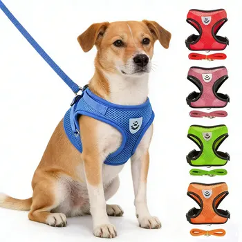 Mesh Pet Harness Set 1