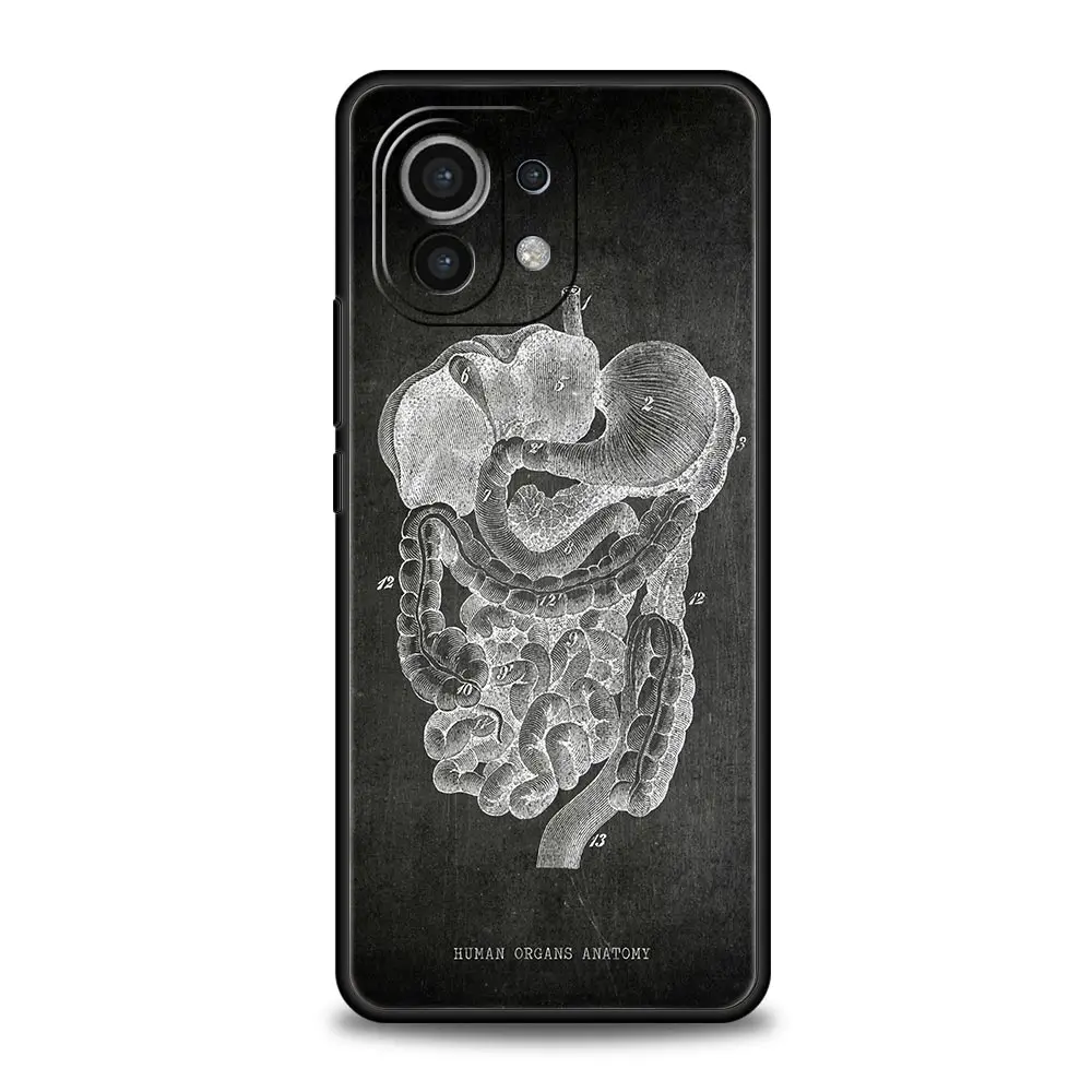 Chalkboard Anatomy Soft Phone Case - Artistic Design Protective Cover