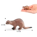 Sea Otter-2