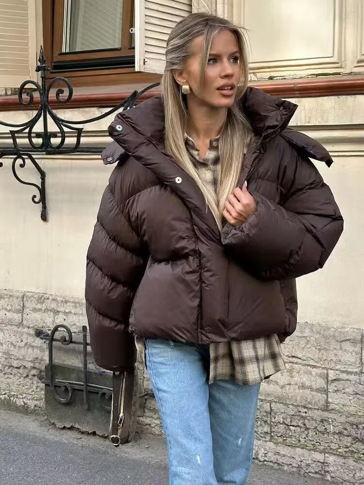 Women Brown Hooded Winter Jackets Fashion Long Sleeve Zipper Button Thick Loose Short Parka Coats Lady Casual Street Outwear