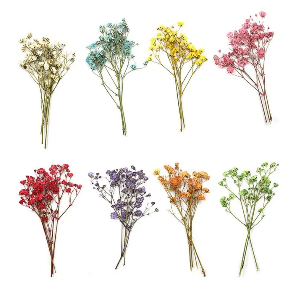 Affascinanti mazzi di fiori secchi portatile Gypsophila essiccato Bouquet da sposa Vivid Colorful Baby Breath Flowers for Home