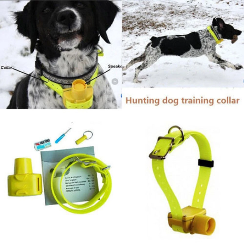 Collar de adiestramiento para perros, accesorio impermeable adiestramiento perros, sonido integrado, para entrenamiento Deportivo y Caza, 8 unidades|dog training collar|training collardog beeper collars - AliExpress