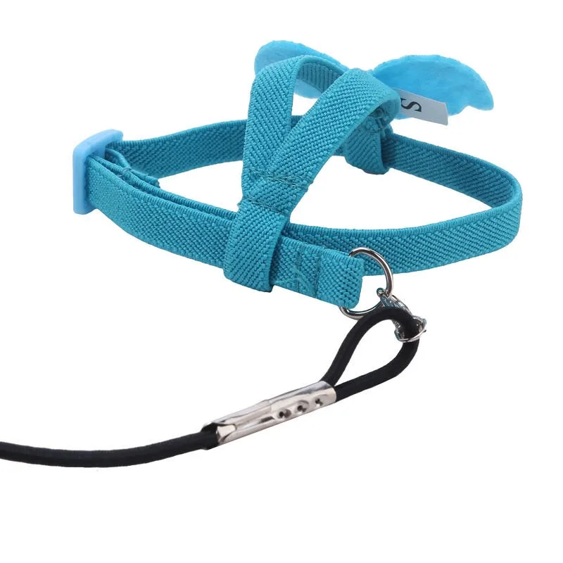 Papagei Training Harness Leine Set Anti-Biss Outdoor Fliegen Seil Für Nymphensittiche Kleine Vögel Liefert – Detail 15
