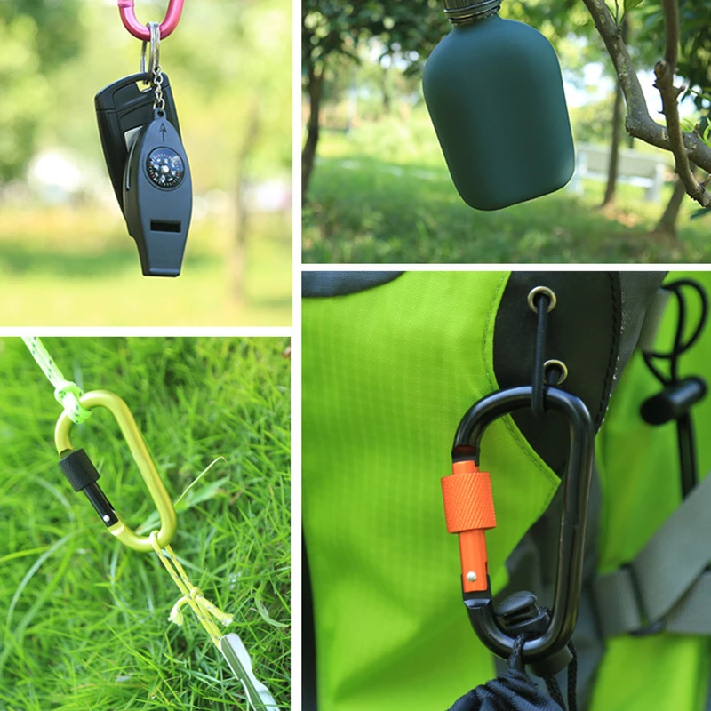 Carabiner with Screw Gate 6