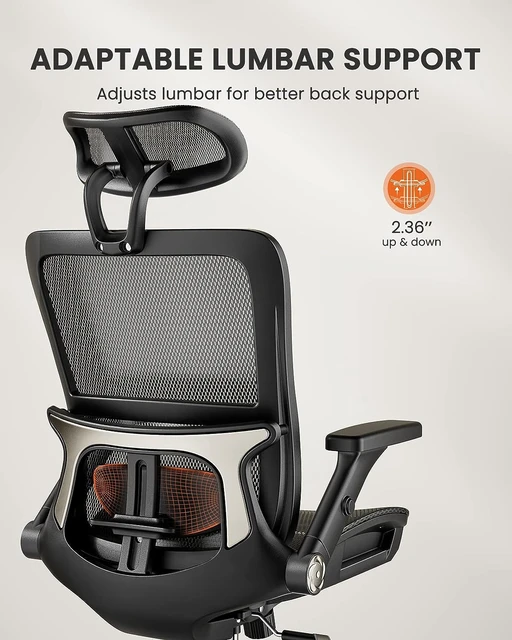 Ergonomic Office Chair with Lumbar Support Computer Chair