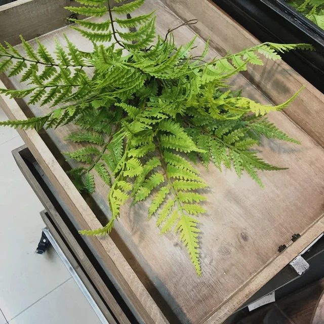 Artificial Persian Fern Leaves – 7 Branches 5