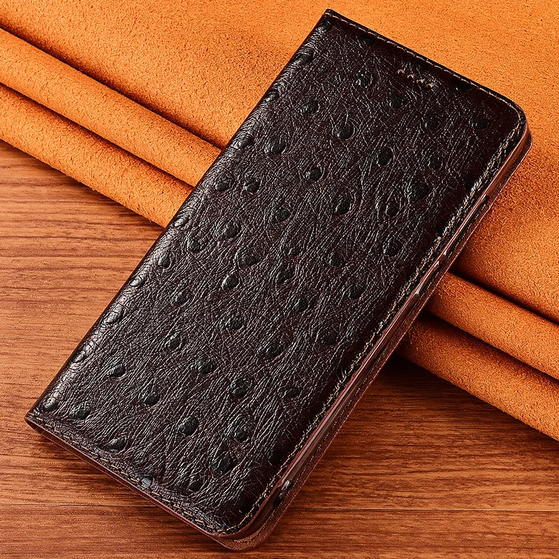 Ostrich Pattern Genuine Leather Phone Case For iPhone 15 Pro Max 14 13 12 11 Pro Max 15 Plus 12 13 Mini Wallet Flip Cover Cases
