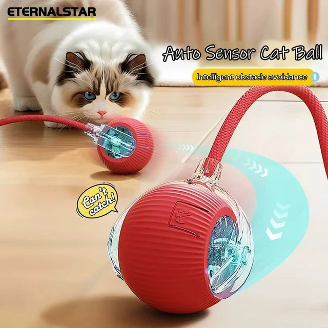 New Rechargeable Smart Interactive Ball 1